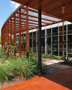 txn_eye_canopy_720x900